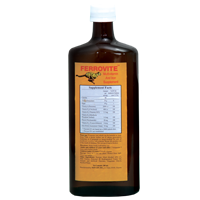Ferrovite Multivitamins with Iron